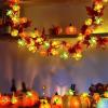imageCoquimbo 4th of July Decorations Flag Lights Patriotic String Lights Battery Operated 10FT 30 LED Fairy Lights Fourth of July Decor for Home Indoor Outdoor Memorial Independence DayFall