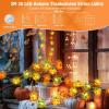 imageCoquimbo Christmas Lights Indoor Decorations 10FT 30 LED Santa Claus Sleigh Christmas Tree String Lights Fairy Lights for Home Decor Xmas Tree Indoor Outdoor Holiday Party DecorationsFall