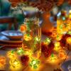 imageCoquimbo Christmas Lights Indoor Decorations 10FT 30 LED Santa Claus Sleigh Christmas Tree String Lights Fairy Lights for Home Decor Xmas Tree Indoor Outdoor Holiday Party DecorationsFall